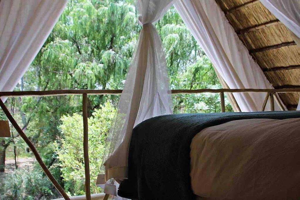 Hot Spring Bungalow In Limpopo Gemsbokfontein Экстерьер фото